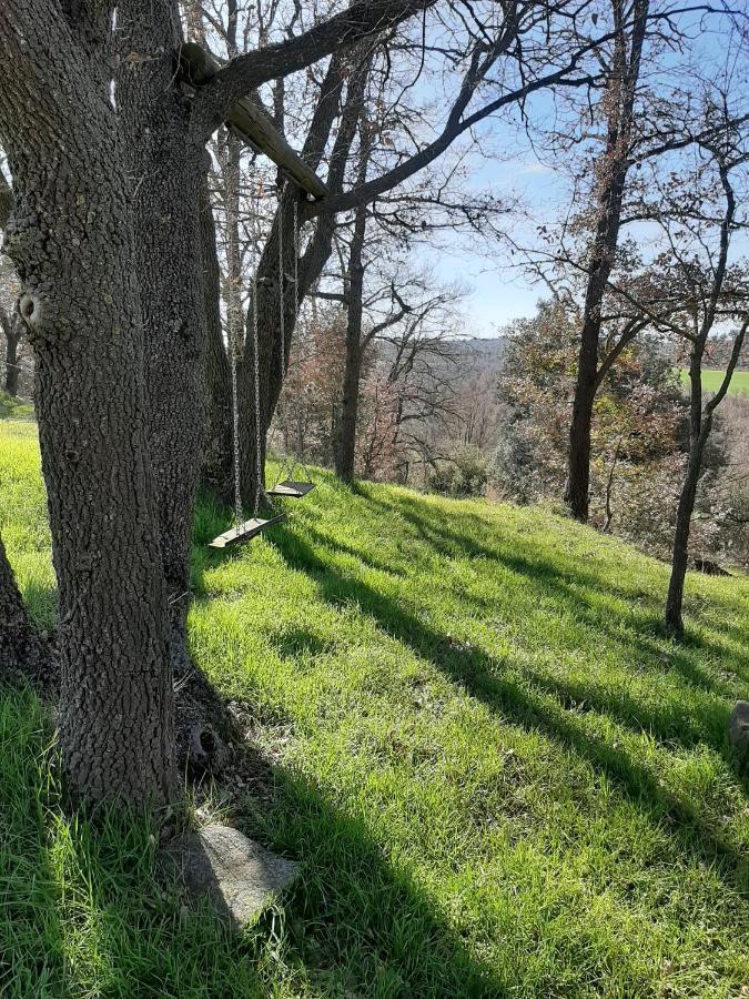 Allotjament Rural Solsona Buitenkant foto