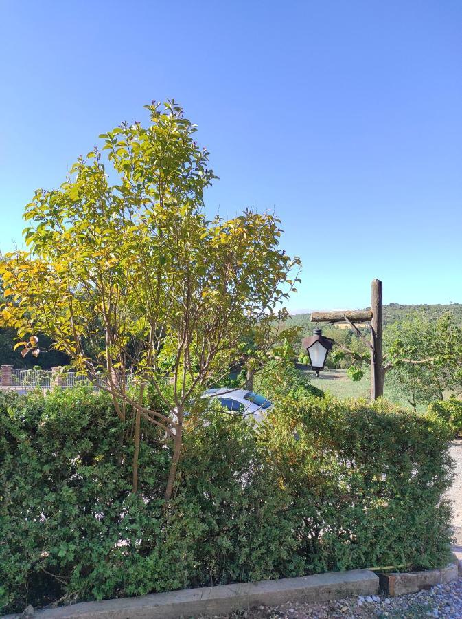 Allotjament Rural Solsona Buitenkant foto